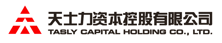 东升国际资本控股有限公司